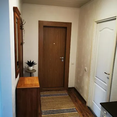 Jaukus Dvieju Kambariu Butas * Kaunas